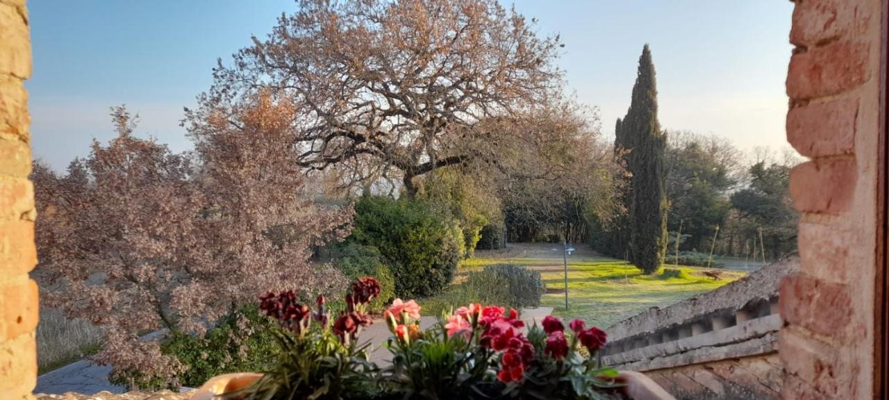 Il casale di Sandra Chiusi Esterno foto