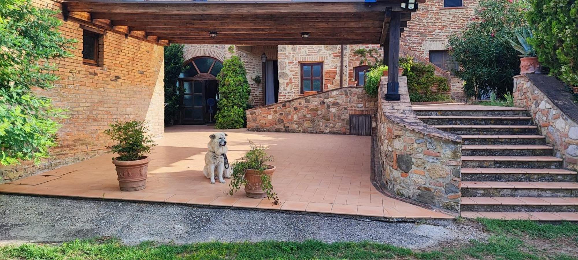 Il casale di Sandra Chiusi Esterno foto